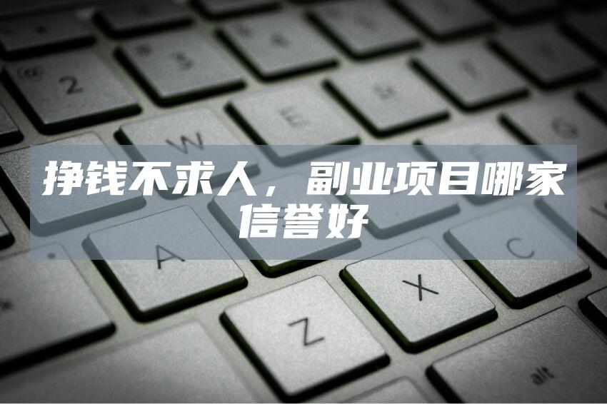 挣钱不求人，副业项目哪家信誉好