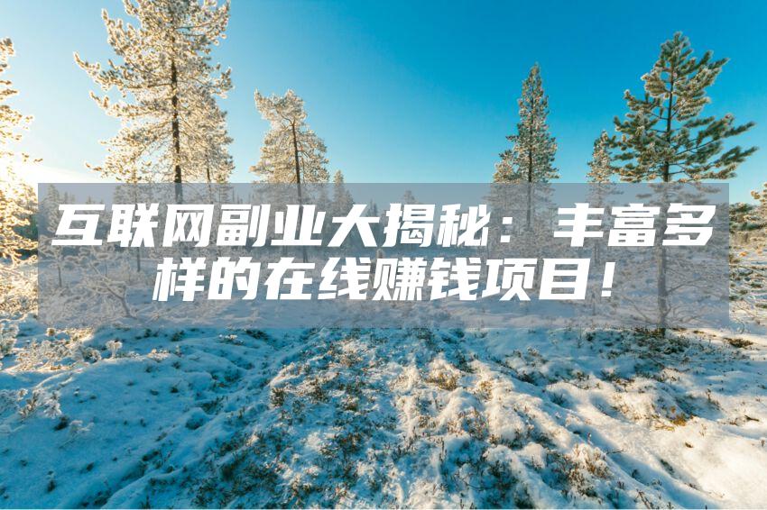 互联网副业大揭秘：丰富多样的在线赚钱项目！