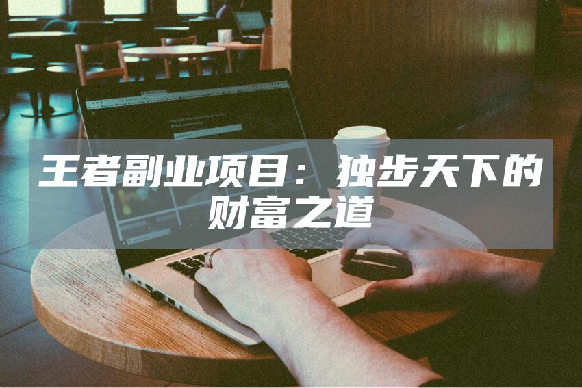 王者副业项目：独步天下的财富之道