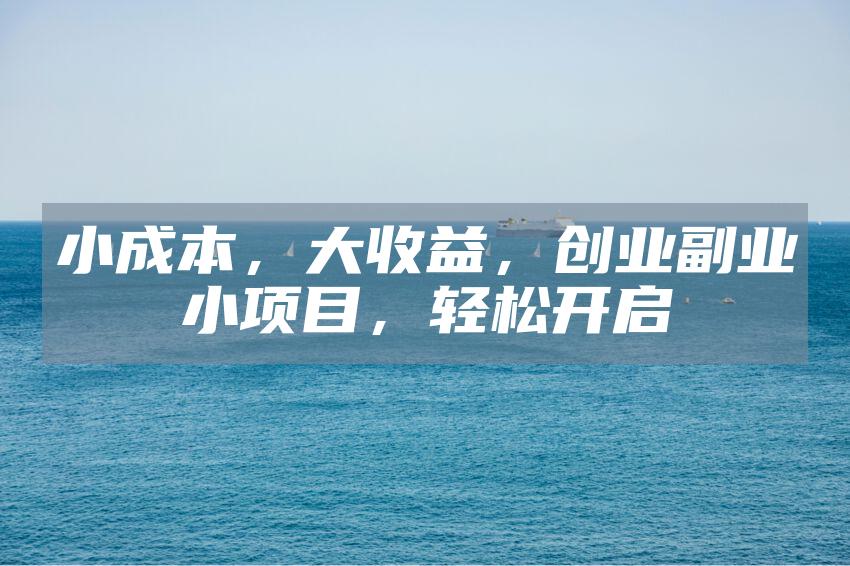 小成本，大收益，创业副业小项目，轻松开启