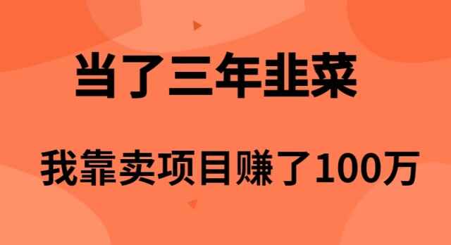我靠卖项目赚了100万
