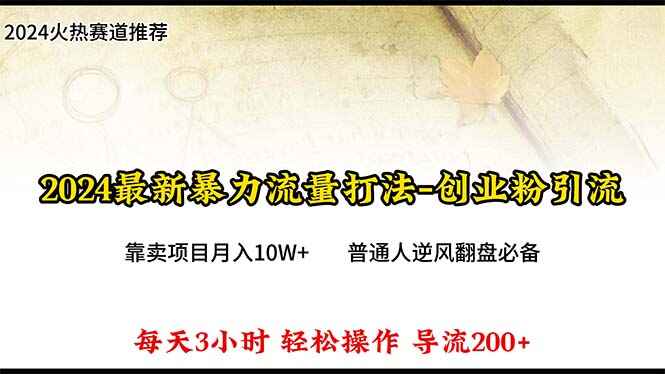 2024年最新暴力流量打法 每日导入300+，靠卖项目月入10W+【揭秘】-天边资源网