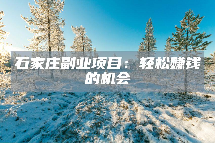 石家庄副业项目：轻松赚钱的机会