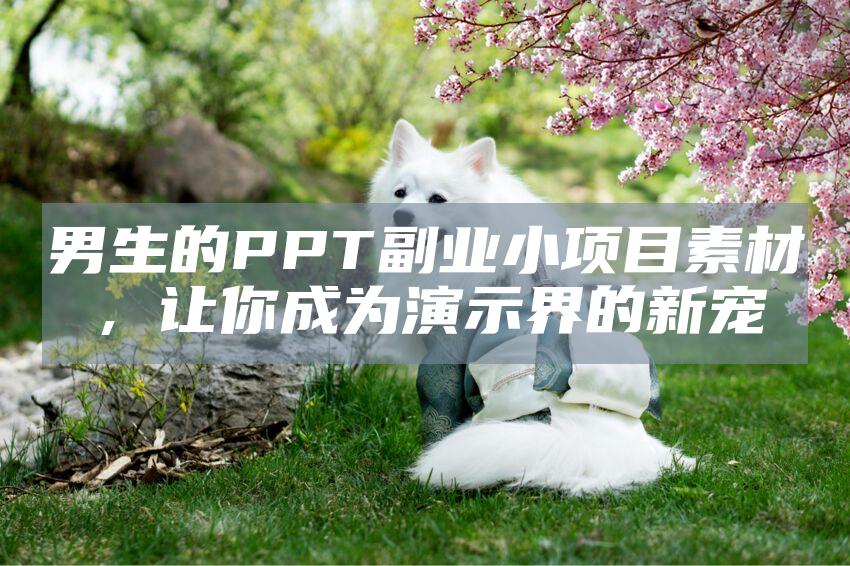 男生的PPT副业小项目素材，让你成为演示界的新宠