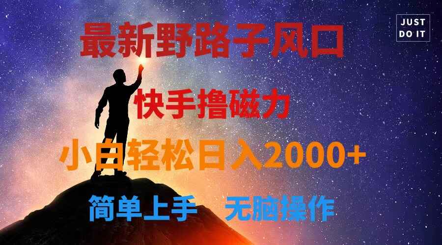 快手撸磁力野路子