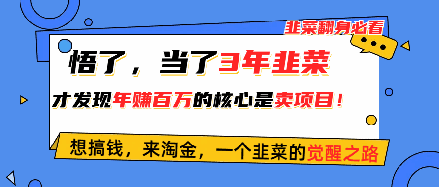 图片[1]-当了3年韭菜，才发现网赚圈年赚100万的核心是卖项目，含泪分享-天边资源网
