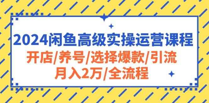 图片[1]-2024闲鱼高级实操运营课程 开店/养号/选择爆款/引流/月入2万/全流程（34节课）-天边资源网