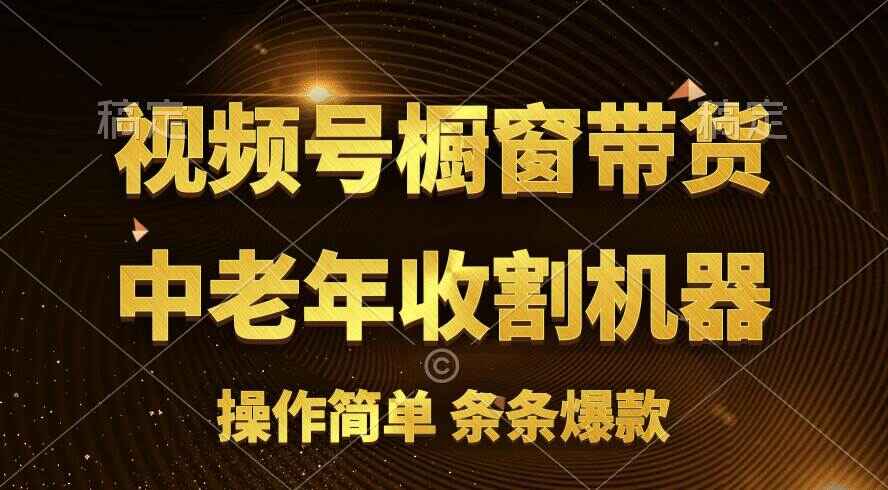 [ 你的孩子成功取得高位 ]视频号爆火赛道，橱窗带货，流量分成，条条原创爆款-天边资源网
