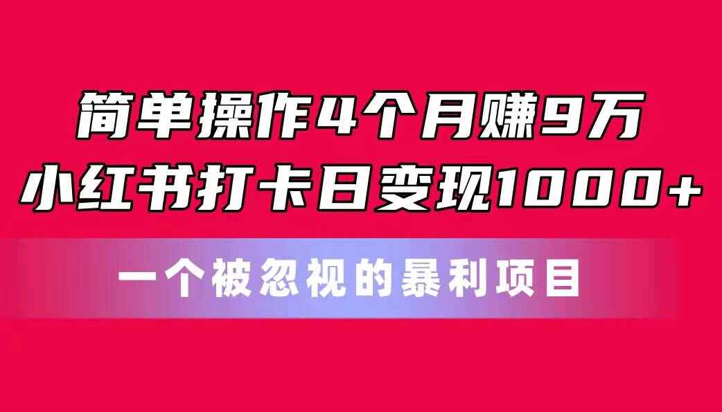 简单操作4个月赚9万 小红书打卡日变现1000+！一个被忽视的暴力项目【揭秘】-天边资源网