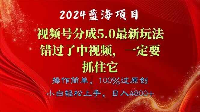 视频号分成计划5.0玩法 2024蓝海项目，错过了中视频，一定要抓住它【揭秘】-天边资源网