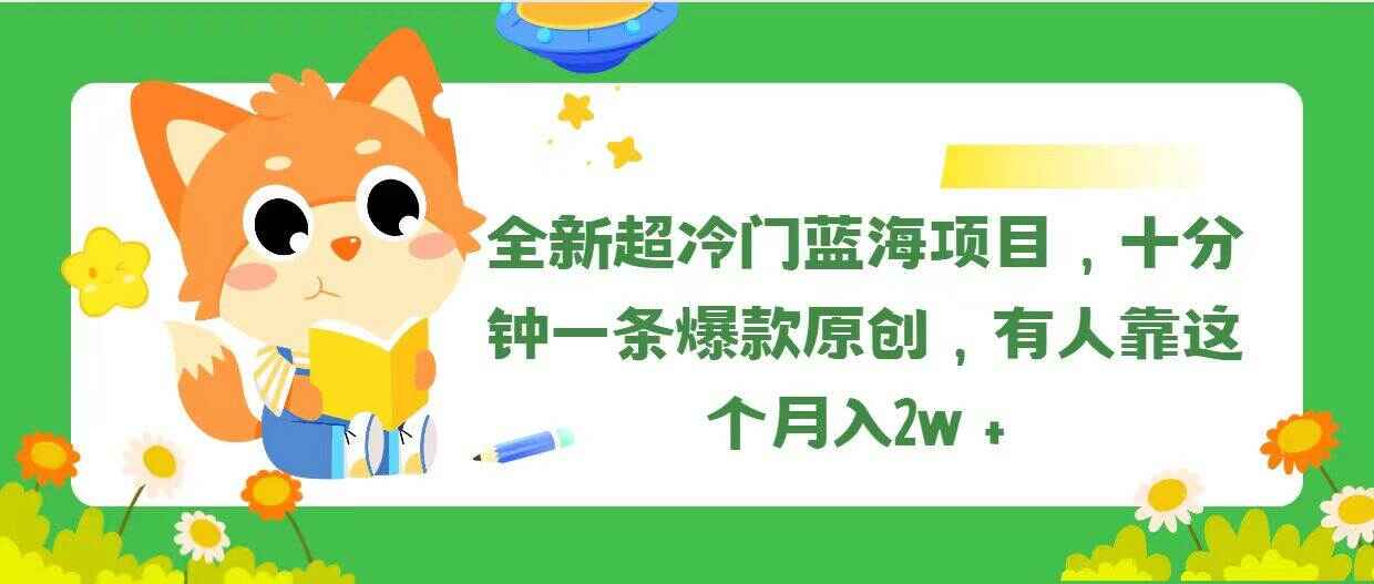全新超冷门蓝海项目