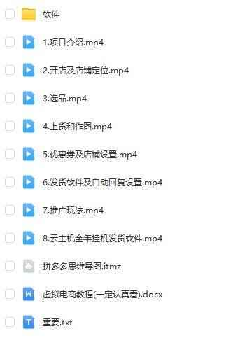 拼多多虚拟电商训练营