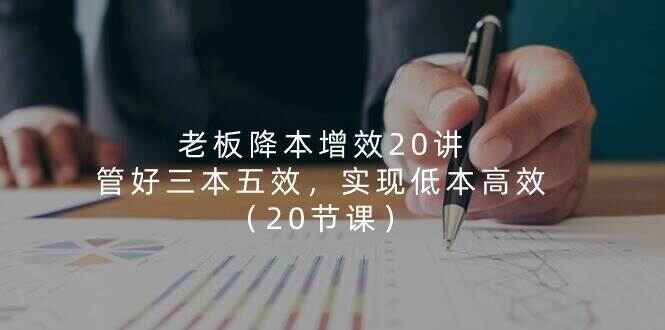 老板降本增效20讲