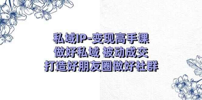 私域IP变现高手课程