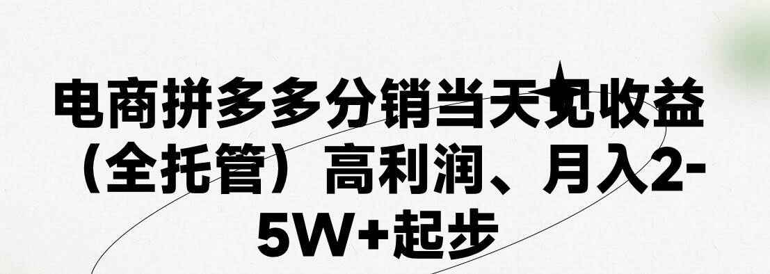 最新拼多多模式日入4K+