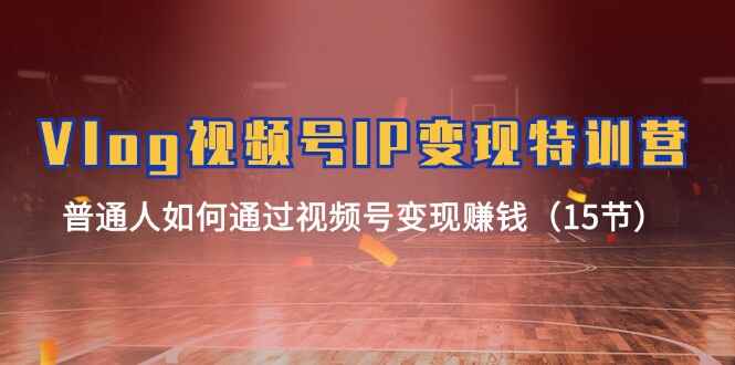 vlog视频号IP变现特训课程