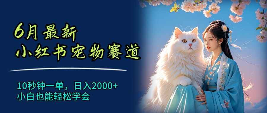 6月最新小红书宠物赛道