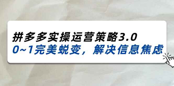 2024~2025拼多多实操运营策略3.0