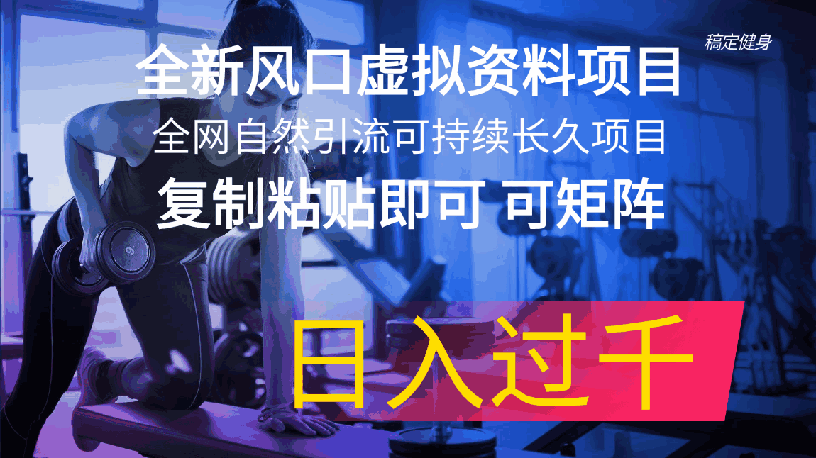 全新风口虚拟资料项目