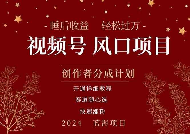 拥有睡眠收益的视频号大风口项目