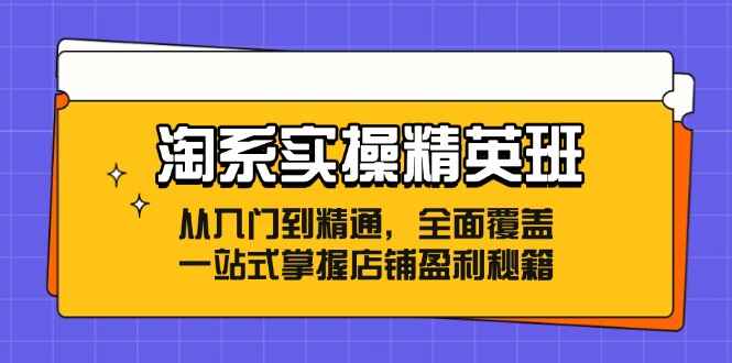 淘系实操精英课程
