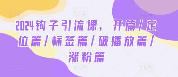 2024钩子引流课程