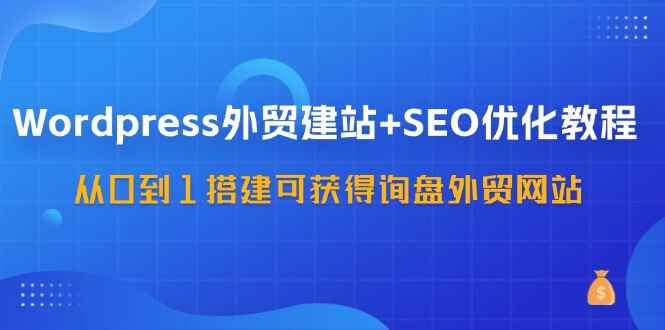 WordPress外贸建站+SEO优化课程 从0到1搭建可获得询盘外贸网站（57节课）-天边资源网