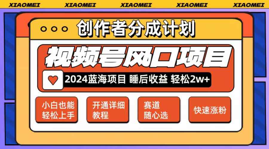 微信视频号大风口项目