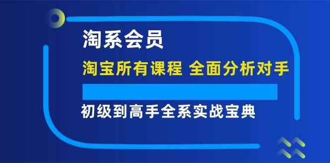 淘系会员初级到高手全系实战宝典