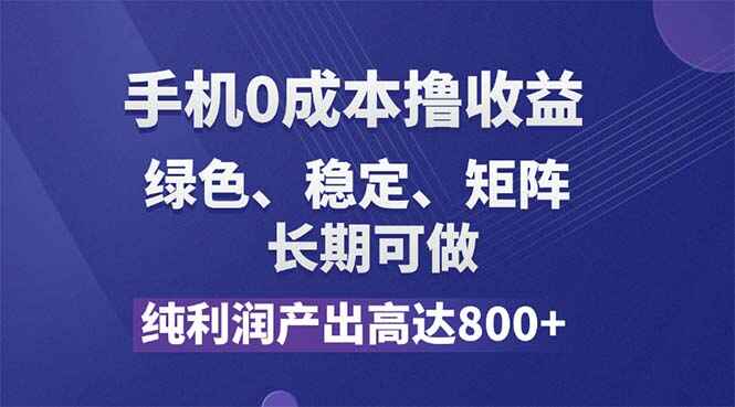 手机0成本撸羊毛 纯利润高达800+，可长期操作【揭秘】-天边资源网