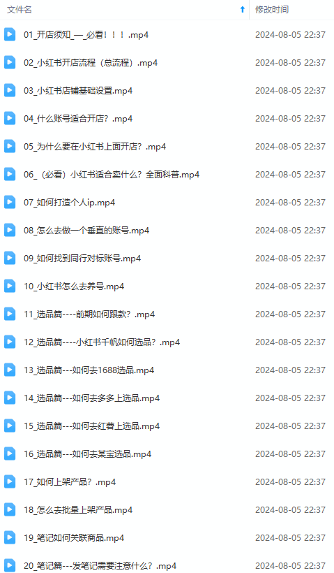 2024小红书电商实战课程
