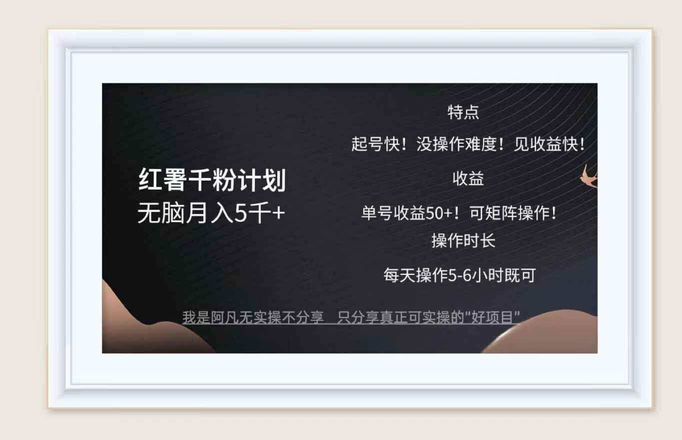 红薯千粉计划