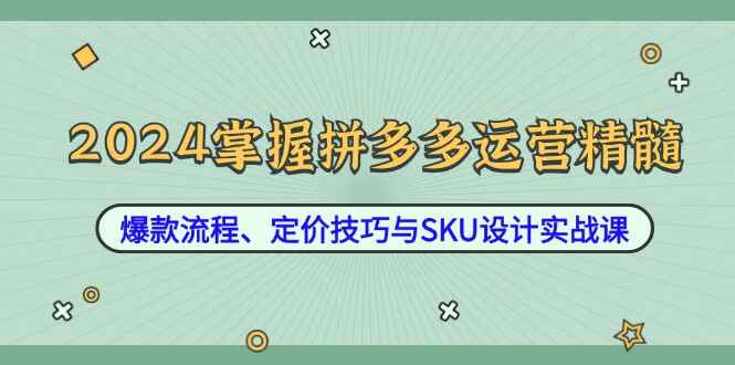 图片[1]-2024掌握拼多多运营精髓 爆款流程、定价技巧与SKU设计实战（12节课）-天边资源网