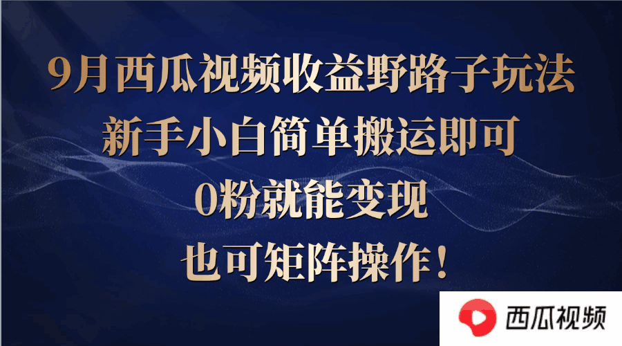 西瓜视频收益野路子玩法 简单搬运，0粉变现，可矩阵操作【揭秘】-天边资源网