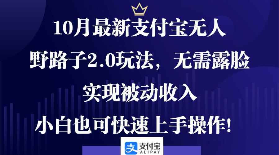 图片[1]-10月最新支付宝无人野路子2.0玩法 无需露脸实现被动收入，小白可快速上手（附工具）-天边资源网