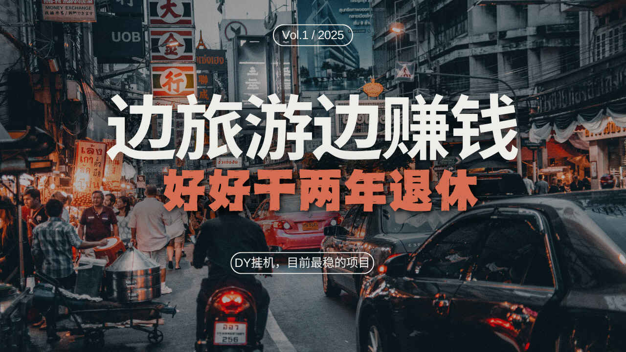 DY目前最稳的项目