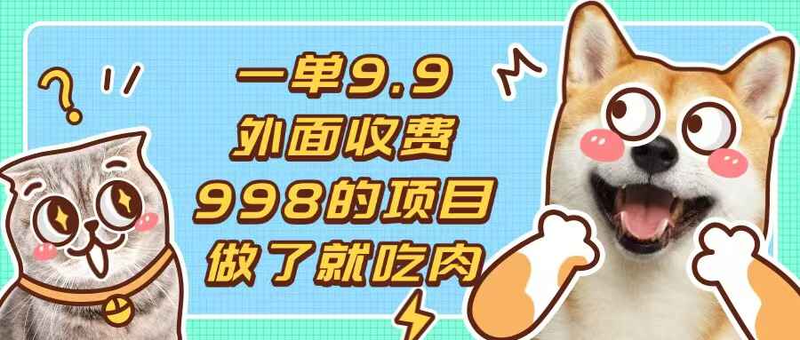 一单9.9的项目
