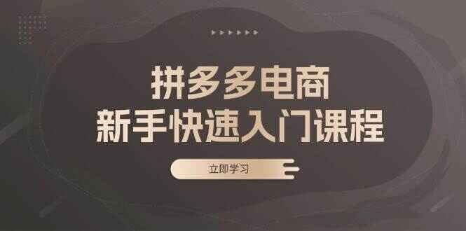 拼多多电商新手快速入门课程