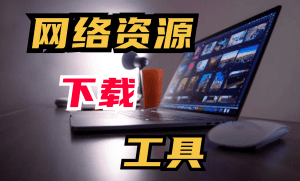 网络资源下载工具 支持下载各类文件，涵盖图片、视频等多媒体资源-天边资源网