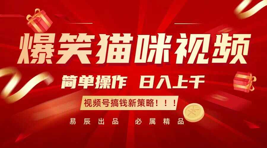爆笑猫咪视频