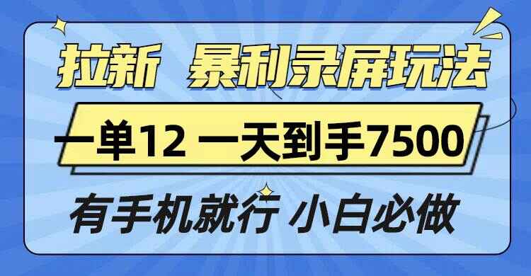 拉新暴利录屏玩法