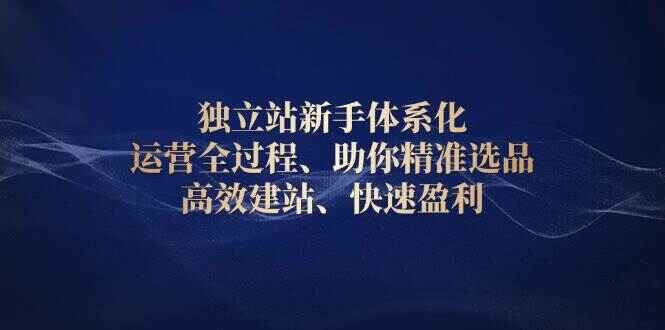 独立站新手体系化