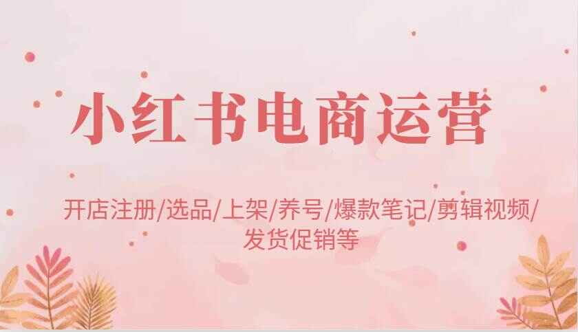 小红书电商运营课程