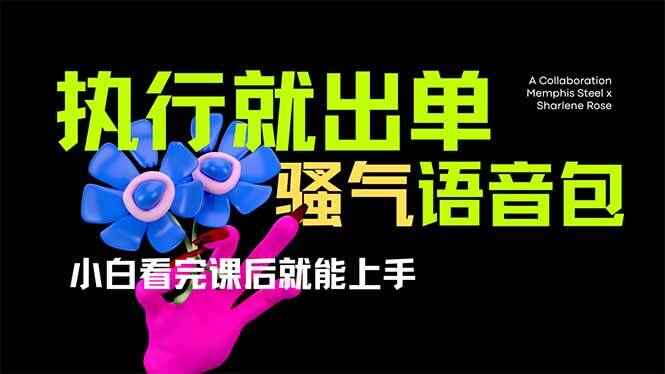图片[1]-爆火全网的开车导航骚气语音包 只要执行就出单，小白看完课程就能实操【揭秘】-天边资源网