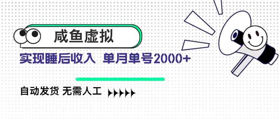 咸鱼虚拟资料