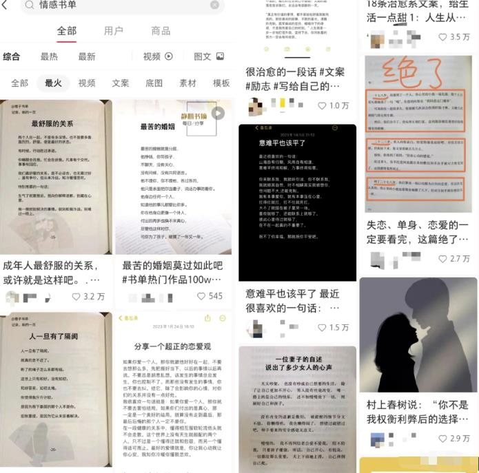 图片[3]-情感私域变现，高客单价，月销售额1000w+-天边资源网