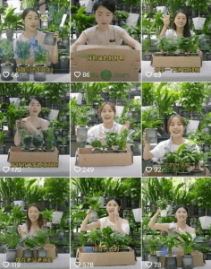 小众细分类目，一个月卖货超1000万！-天边资源网