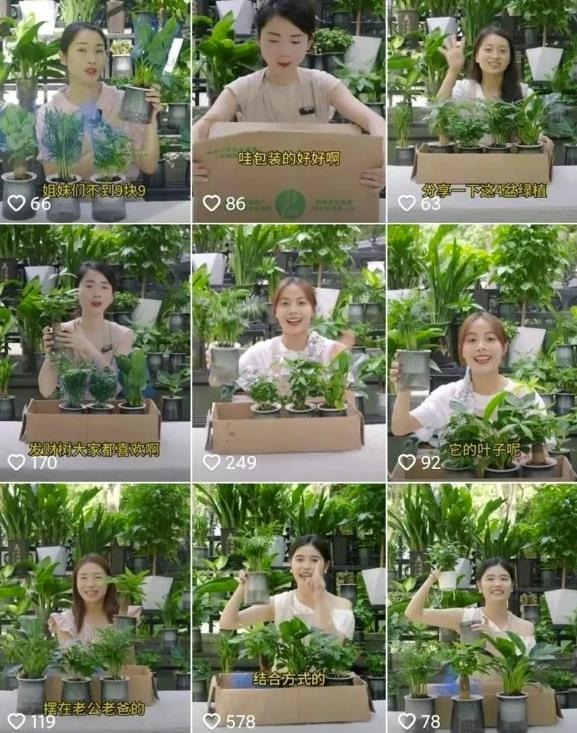 图片[2]-小众细分类目，一个月卖货超1000万！-云轩资源网
