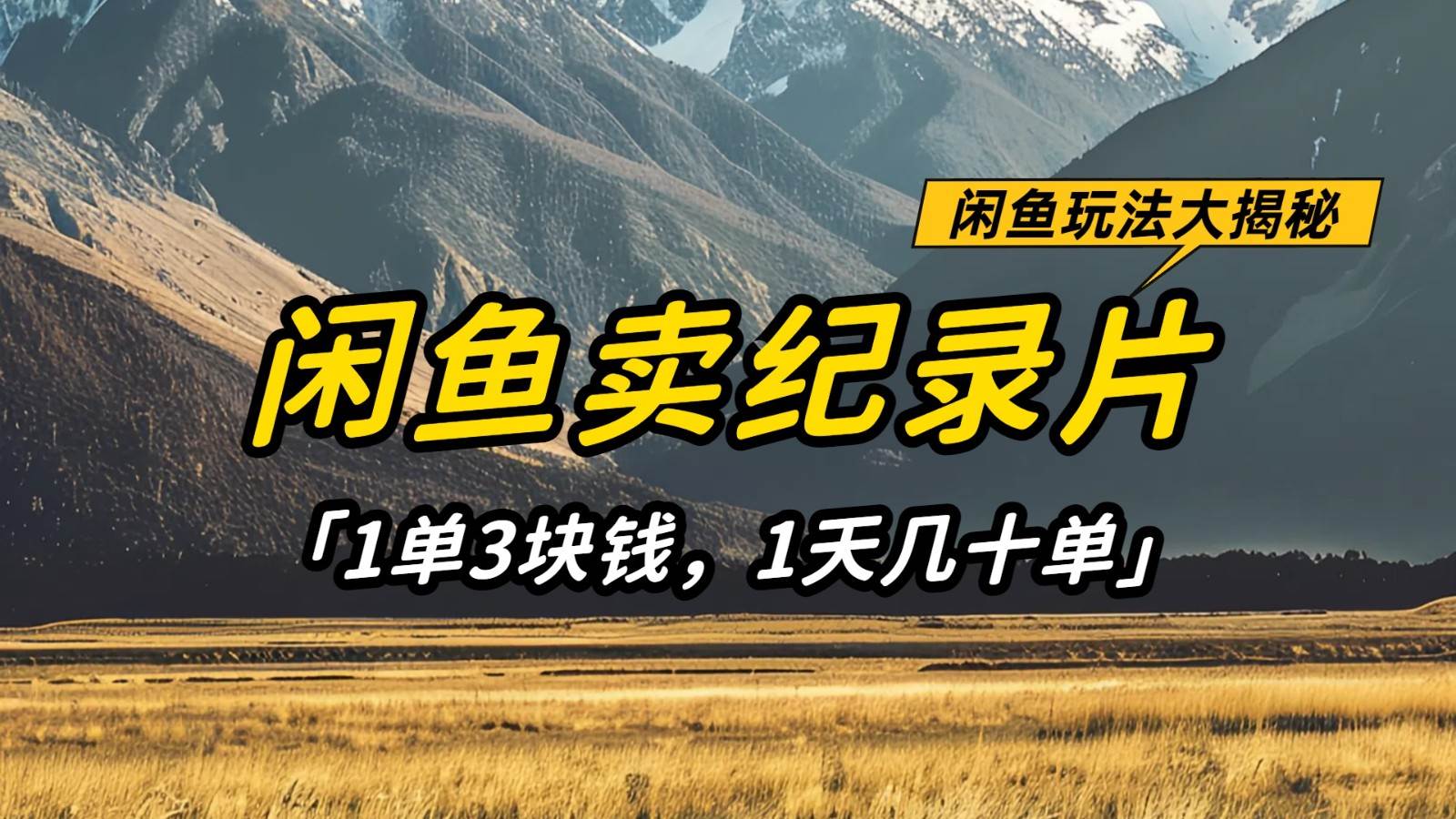 闲鱼卖纪录片