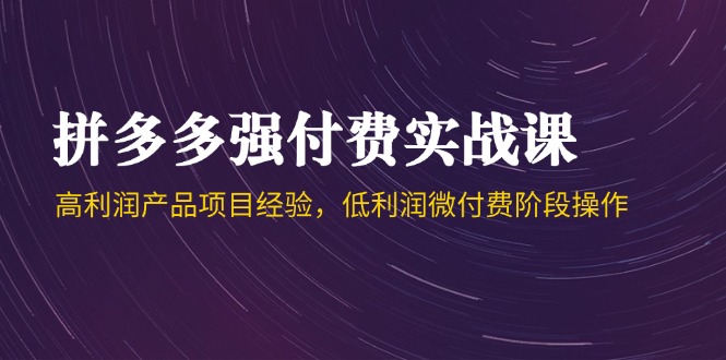 拼多多强付费实战课程